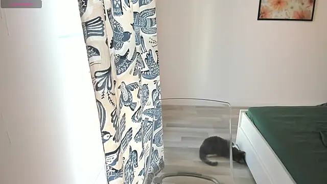 18perfecttits online show from July 2026 03:03:02 PM