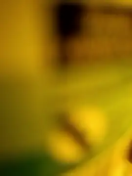 George21ek online show from January 2026 12:57:02 AM