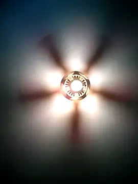 Snapshot of GeneWade45 chatting on April 2026 03:09:02 PM GeneWade45 online show from April 2026 03:09:02 PM