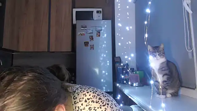 delightful sofi online show from October 2025 09:13:01 PM