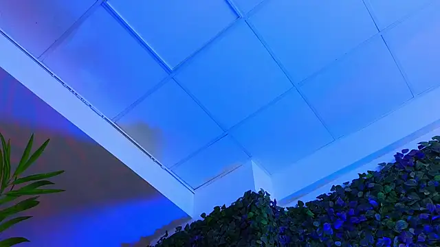 HotSkinnyX online show from February 2025 12:54:01 PM