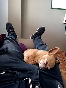 Jeanka18z online show from October 2025 05:33:02 PM