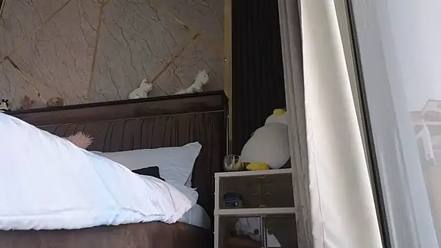 Snapshot of Allys chatting on February 2025 07:50:01 AM Allys online show from February 2025 07:50:01 AM