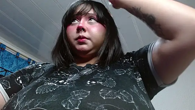 litlle cat online show from June 2026 06:37:02 AM