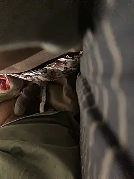 CoolBiDude online show from December 2024 06:12:01 PM