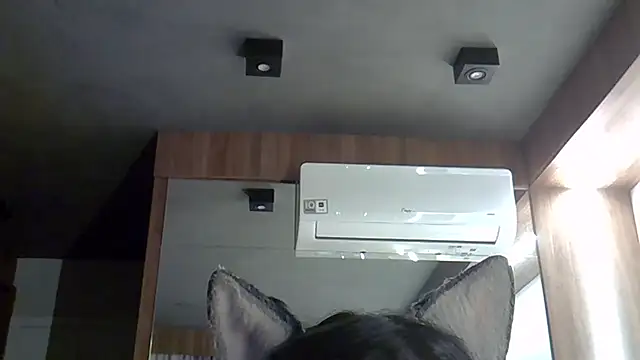 Skinny-Kitten online show from September 2025 09:31:02 PM