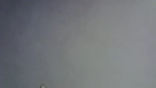 Skinny-Kitten online show from January 2026 05:28:02 PM