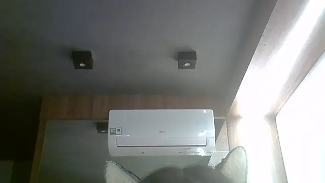 Skinny-Kitten online show from April 2026 09:40:01 AM