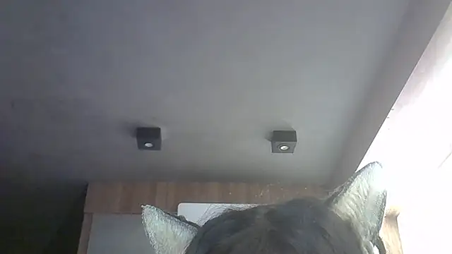 Snapshot of Skinny-Kitten chatting on May 2026 11:51:02 AM Skinny-Kitten online show from May 2026 11:51:02 AM