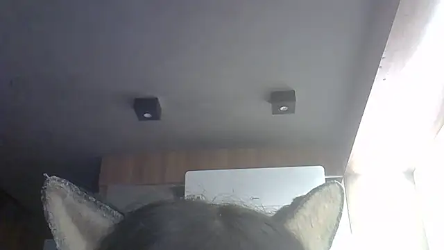 Snapshot of Skinny-Kitten chatting on May 2026 04:37:02 PM Skinny-Kitten online show from May 2026 04:37:02 PM