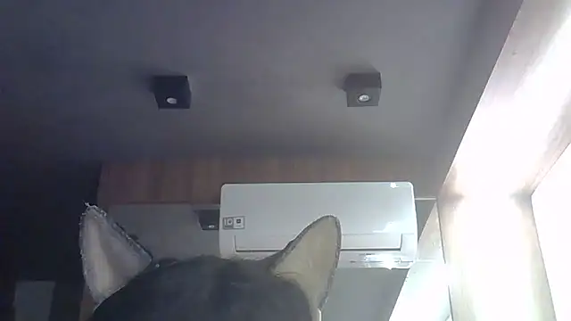 Snapshot of Skinny-Kitten chatting on May 2026 04:59:02 PM Skinny-Kitten online show from May 2026 04:59:02 PM