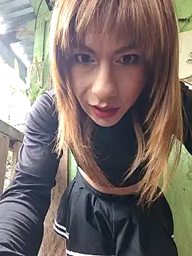 Evehampy online show from December 2024 05:42:01 PM