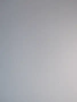 Delicy1 online show from February 2025 04:44:01 PM