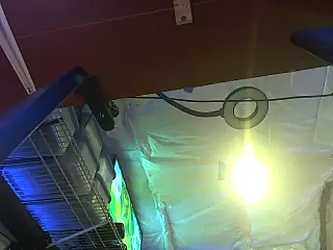 CloudDadddyyy420 online show from October 2025 10:43:02 PM