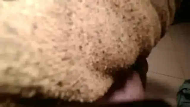 Snapshot of Dan3106x chatting on March 2026 07:07:02 PM Dan3106x online show from March 2026 07:07:02 PM