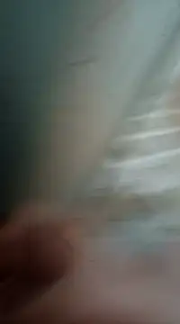 Snapshot of Sexis26 chatting on March 2025 08:43:01 PM Sexis26 online show from March 2025 08:43:01 PM