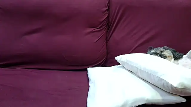 Kellynha Sweet online show from December 2025 02:06:01 AM