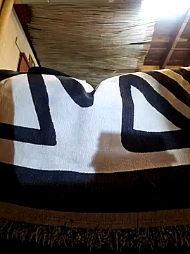 Daza67 online show from February 2026 11:14:02 AM