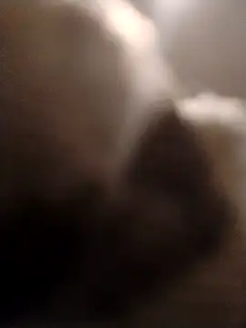 ft2022W online show from February 2026 03:57:02 AM