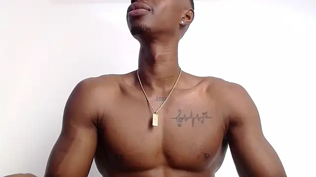 drake brwon 23 online show from October 2025 01:39:02 PM