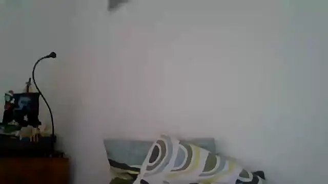 Snapshot of joaodias_97 chatting on February 2025 02:26:01 PM joaodias 97 online show from February 2025 02:26:01 PM