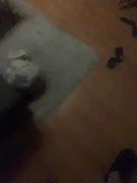 chrille82 online show from November 2025 06:06:02 PM