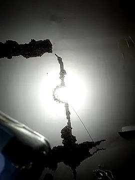 Snapshot of ColdVisitor chatting on February 2026 01:32:01 AM ColdVisitor online show from February 2026 01:32:01 AM