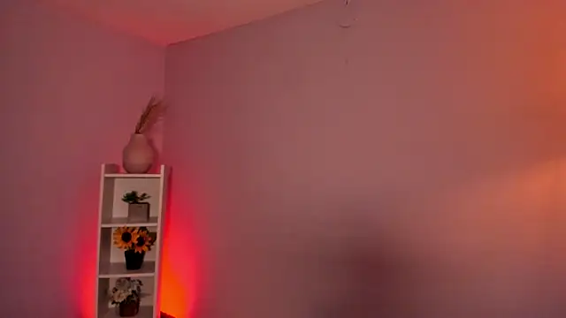 Snapshot of _aish_a_ chatting on March 2025 07:04:01 PM aish a online show from March 2025 07:04:01 PM