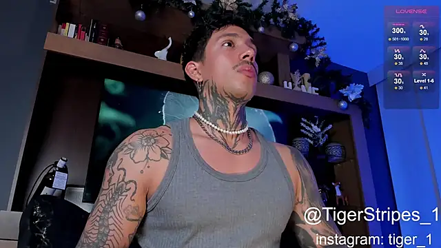 Snapshot of TigerStripes1_ chatting on January 2025 04:44:01 AM TigerStripes1 online show from January 2025 04:44:01 AM