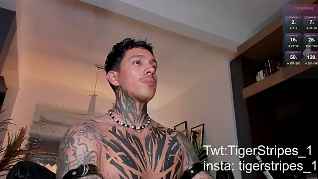 Snapshot of TigerStripes1_ chatting on February 2025 01:11:02 AM TigerStripes1 online show from February 2025 01:11:02 AM