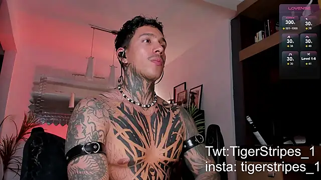 Snapshot of TigerStripes1_ chatting on February 2025 04:18:02 AM TigerStripes1 online show from February 2025 04:18:02 AM