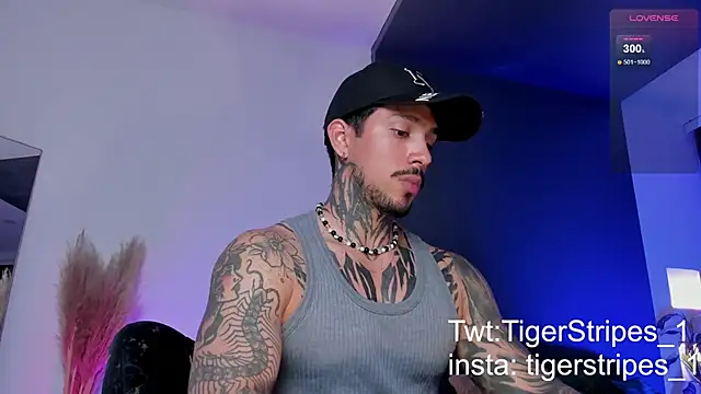 Snapshot of TigerStripes1_ chatting on March 2025 12:59:01 AM TigerStripes1 online show from March 2025 12:59:01 AM