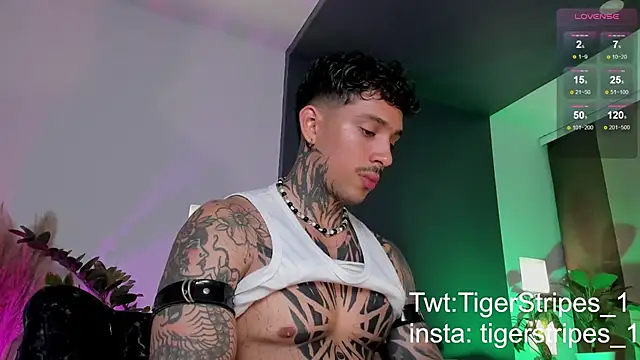 Snapshot of TigerStripes1_ chatting on March 2025 12:39:01 AM TigerStripes1 online show from March 2025 12:39:01 AM