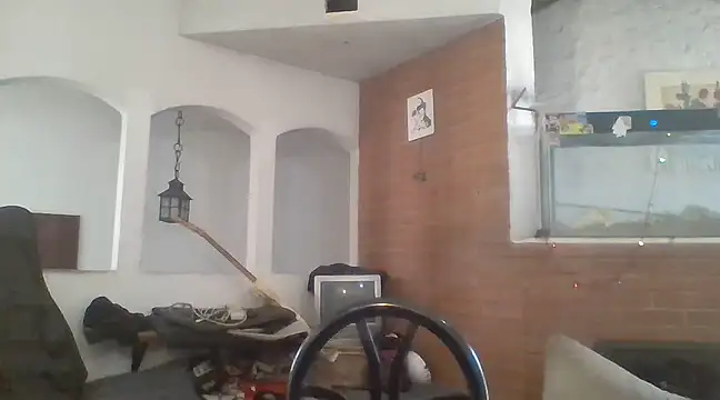 Snapshot of Stevenson988 chatting on December 2024 06:01:02 PM Stevenson988 online show from December 2024 06:01:02 PM