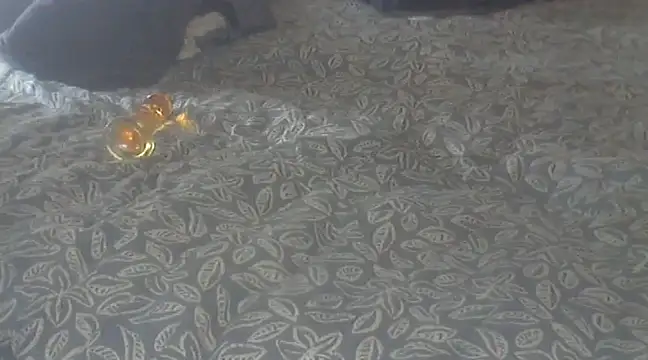 michaelknight101 online show from December 2024 01:22:01 PM