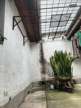 oliver price1 online show from September 2025 04:10:02 PM