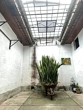 oliver price1 online show from September 2025 07:07:02 PM