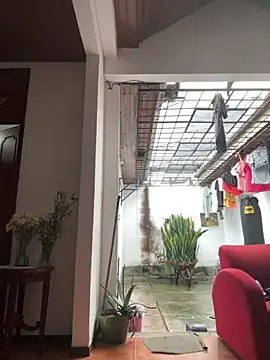 oliver price1 online show from September 2025 03:39:01 PM